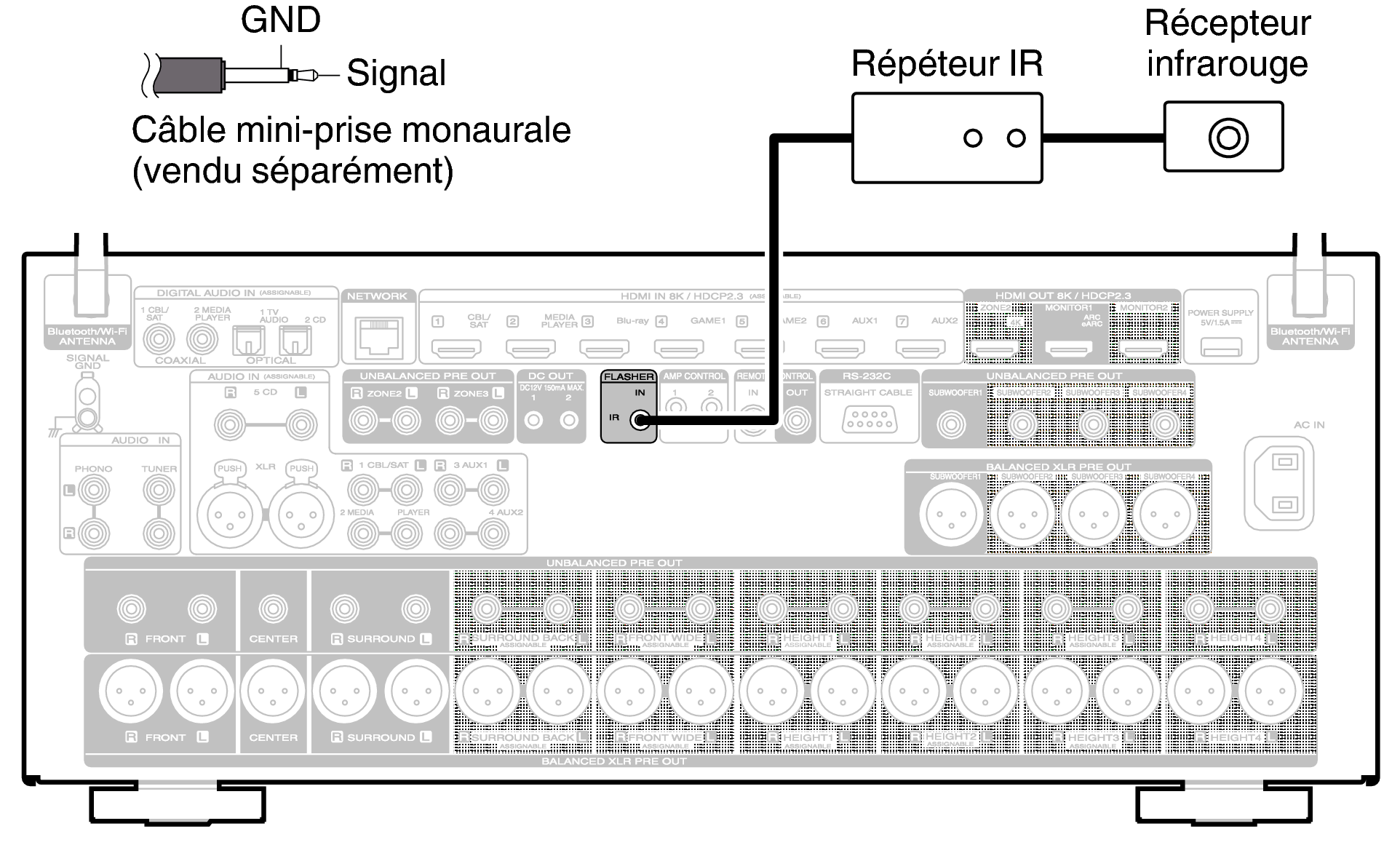 Conn FLASH IN AV10N